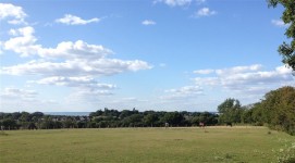 Looking across paddocks towards the Solent